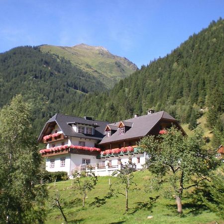 فيلا Biobauernhof Spieszschweiger Sankt Nikolai im Sölktal المظهر الخارجي الصورة