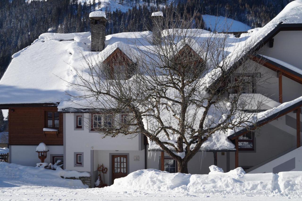 فيلا Biobauernhof Spieszschweiger Sankt Nikolai im Sölktal المظهر الخارجي الصورة
