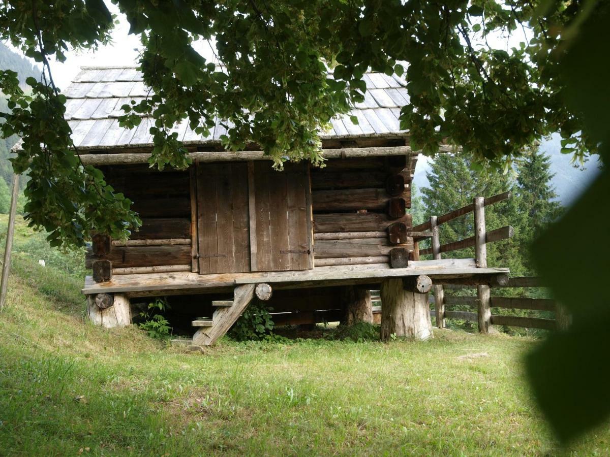فيلا Biobauernhof Spieszschweiger Sankt Nikolai im Sölktal المظهر الخارجي الصورة